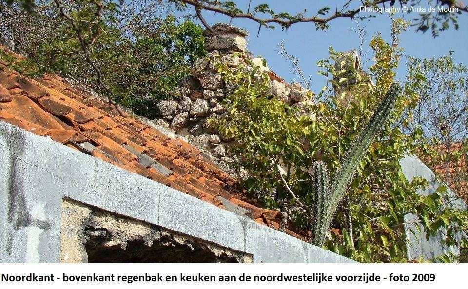 10. Noordkant bovenzijde regenbak en keuken 2009
